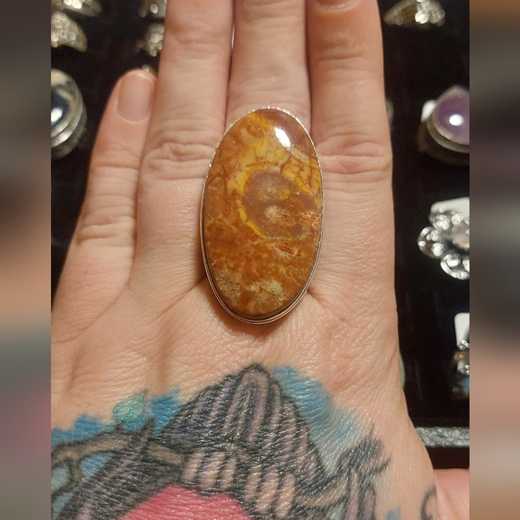 Jewelry - Enormous Bird's Eye Jasper Ring